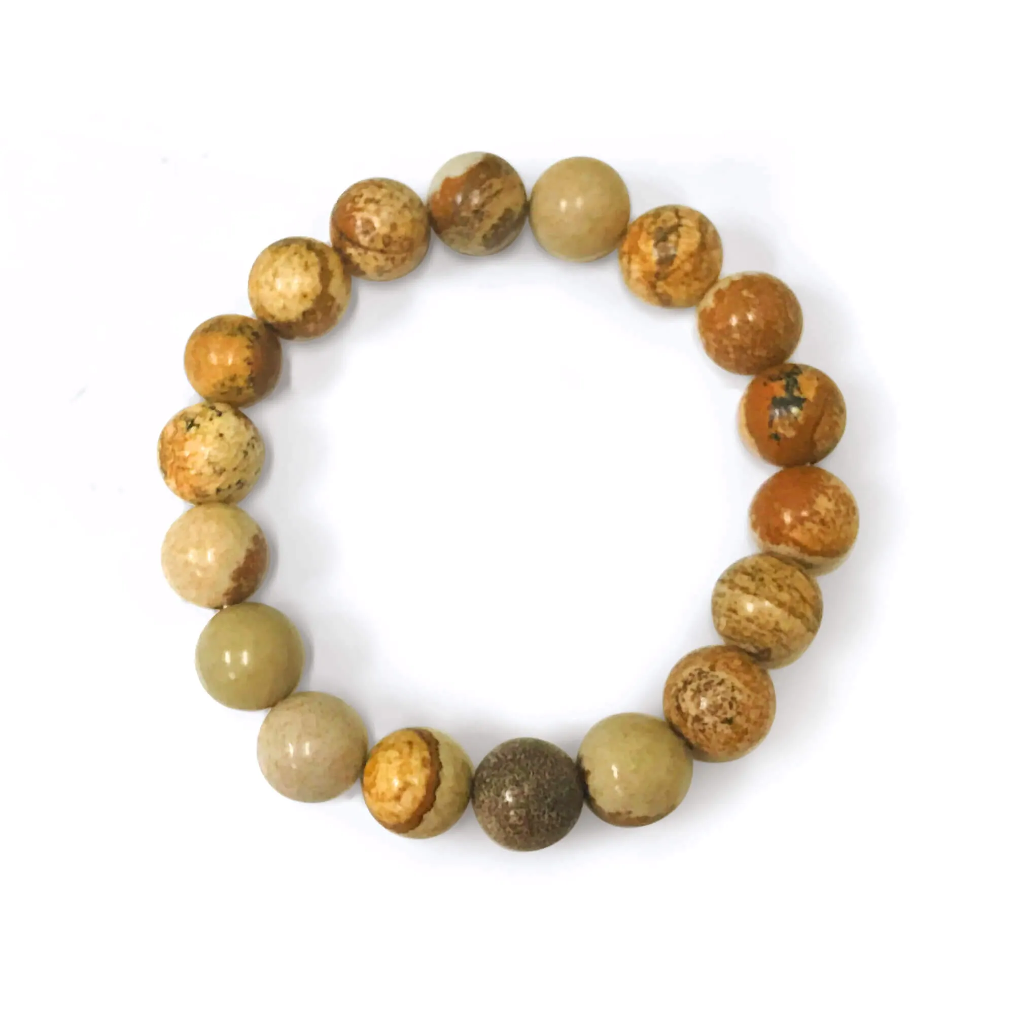 10mm Picture Jasper Unisex Handmade Stretch Bracelet