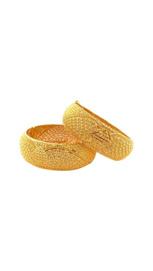 22K Gold Modern Style Designer 2 Pieces Set Of Ladies Screw Bangles