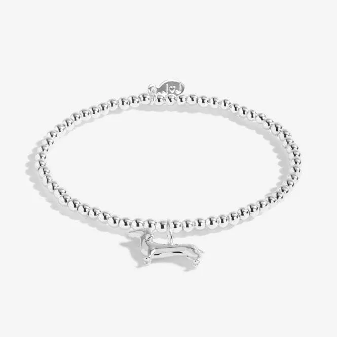 A Little Silly Sausage Silver 15.5cm Stretch Bracelet C560