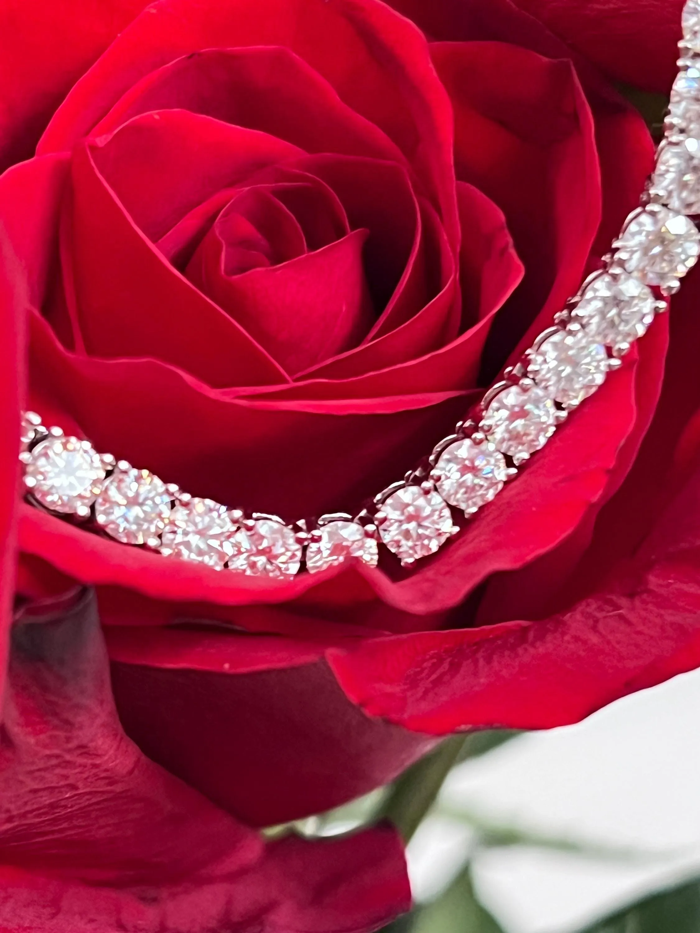 Moissanite White Gold Plated Tennis Necklace on 925